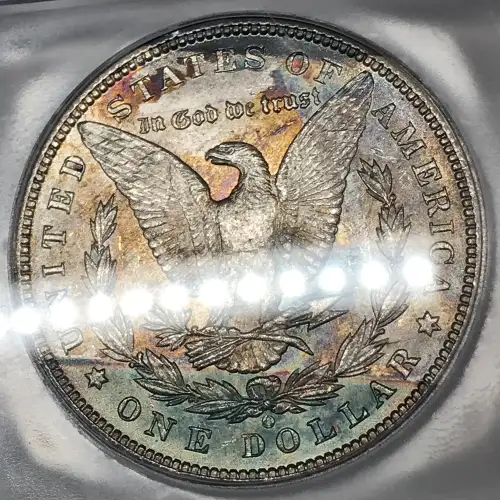 Morgan Silver Dollar (5)