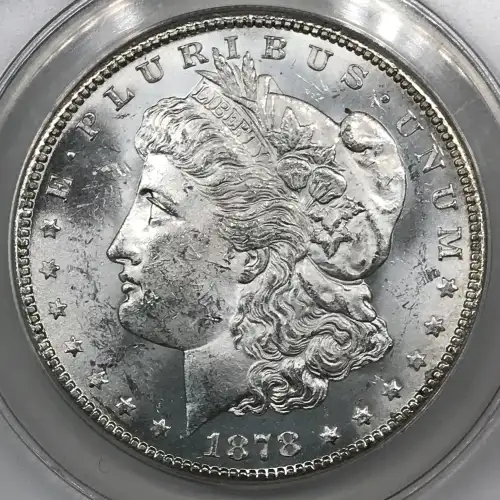 Morgan Silver Dollar (2)