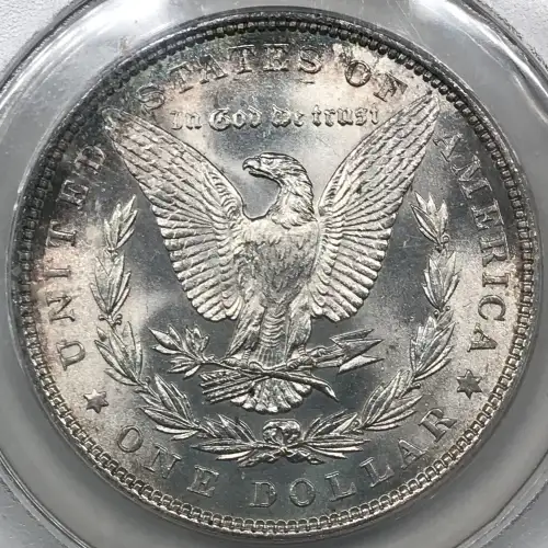 Morgan Silver Dollar (2)