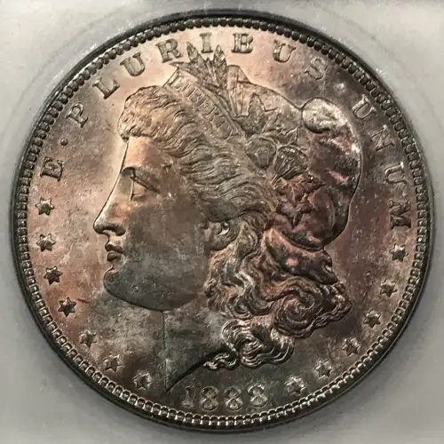 Morgan Silver Dollar (2)