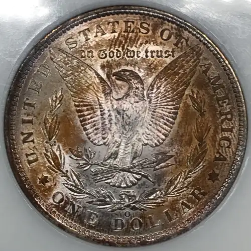 Morgan Silver Dollar (2)