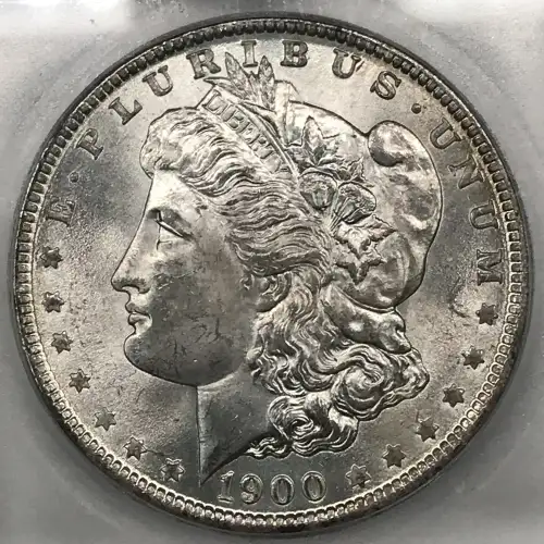 Morgan Silver Dollar (4)