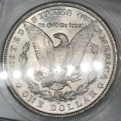 Morgan Silver Dollar (2)