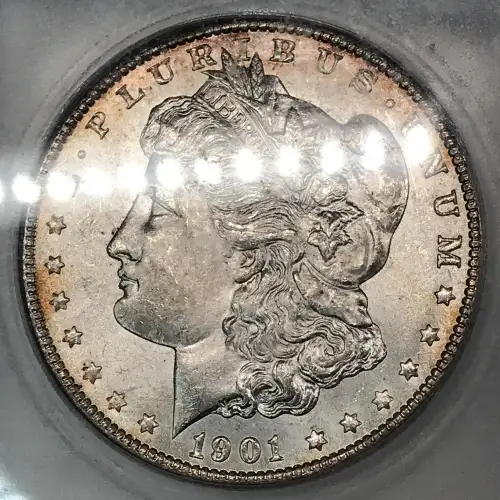 Morgan Silver Dollar (4)