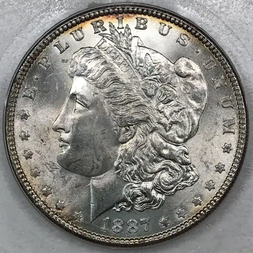 Morgan Silver Dollar (6)