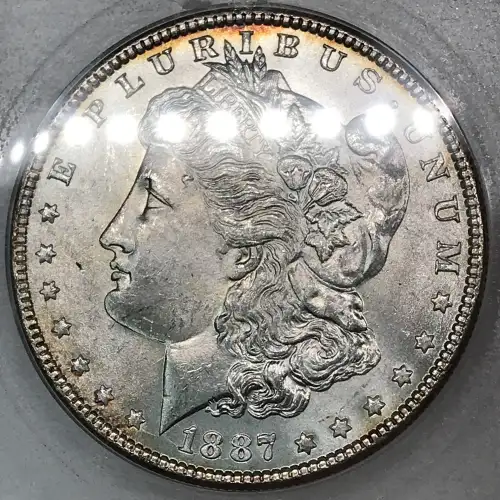 Morgan Silver Dollar (5)