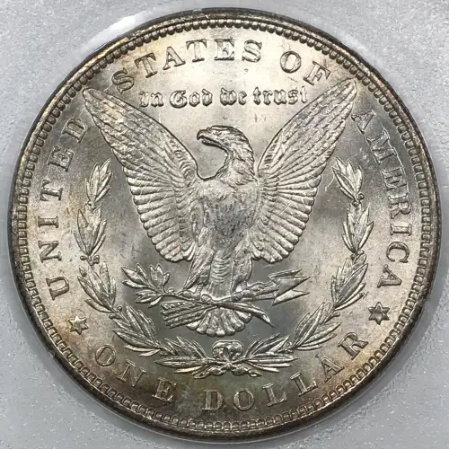 Morgan Silver Dollar (4)