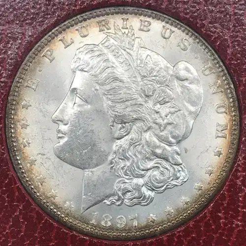 Morgan Silver Dollar (4)