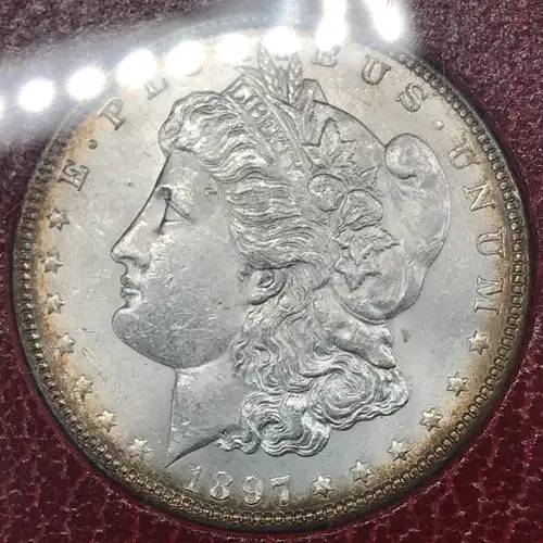 Morgan Silver Dollar (6)