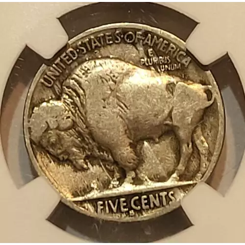 Nickel Five Cent Pieces-Indian Head or Buffalo 1913-1938 (4)