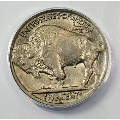Nickel Five Cent Pieces-Indian Head or Buffalo 1913-1938 (4)