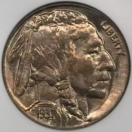 Nickel Five Cent Pieces-Indian Head or Buffalo (2)