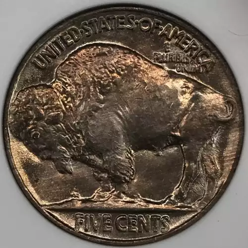 Nickel Five Cent Pieces-Indian Head or Buffalo (4)