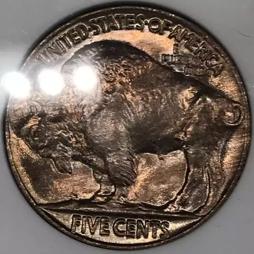Nickel Five Cent Pieces-Indian Head or Buffalo (5)