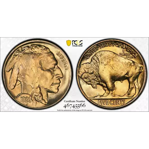 Nickel Five Cent Pieces-Indian Head or Buffalo