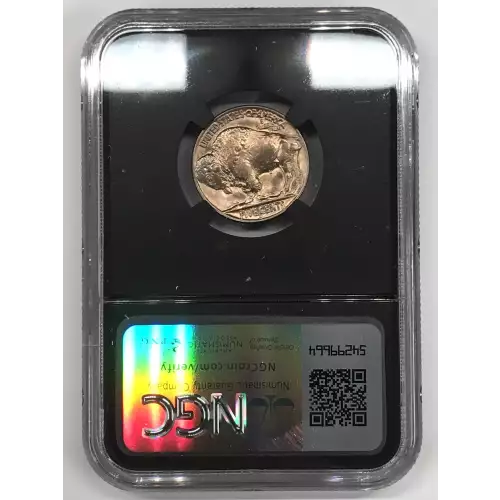 Nickel Five Cent Pieces-Indian Head or Buffalo