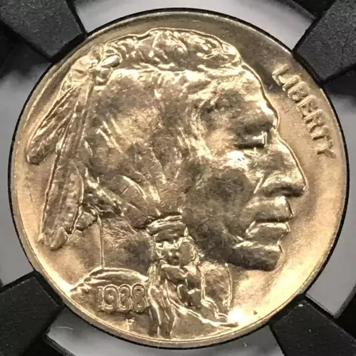 Nickel Five Cent Pieces-Indian Head or Buffalo (3)