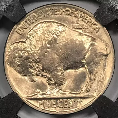 Nickel Five Cent Pieces-Indian Head or Buffalo (4)