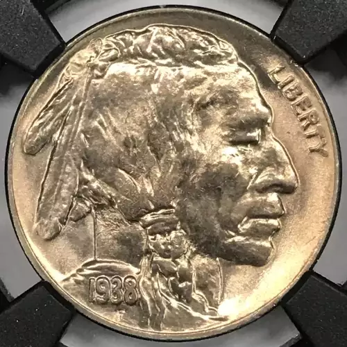 Nickel Five Cent Pieces-Indian Head or Buffalo (2)