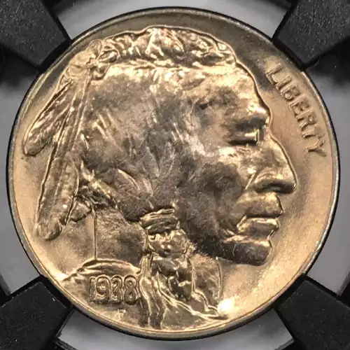 Nickel Five Cent Pieces-Indian Head or Buffalo (3)