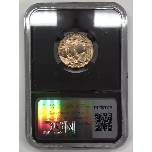 Nickel Five Cent Pieces-Indian Head or Buffalo (2)