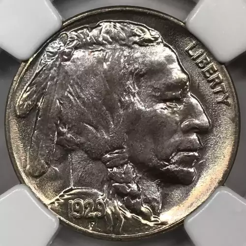 Nickel Five Cent Pieces-Indian Head or Buffalo