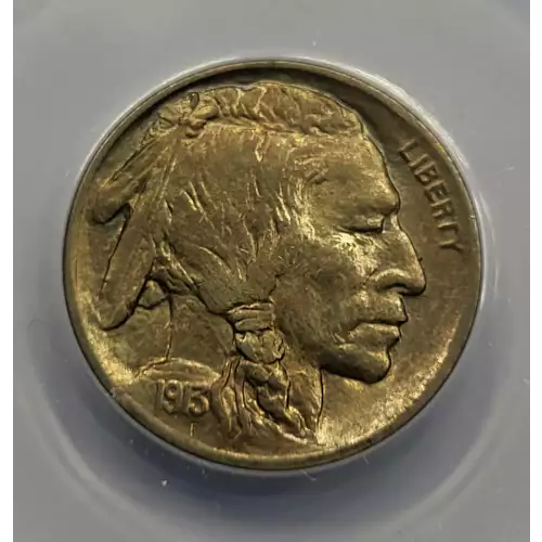 Nickel Five Cent Pieces-Indian Head or Buffalo (2)