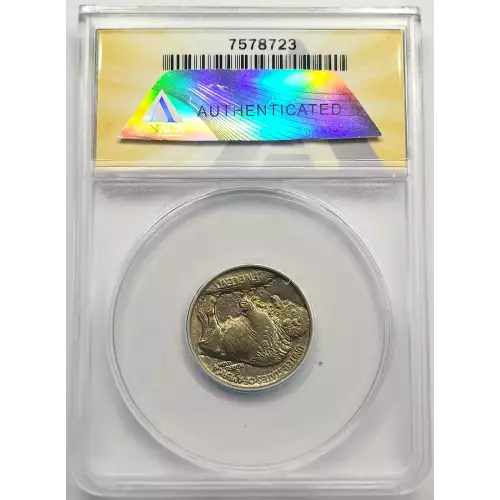 Nickel Five Cent Pieces-Indian Head or Buffalo (3)