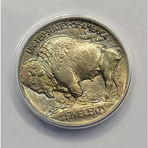 Nickel Five Cent Pieces-Indian Head or Buffalo (4)