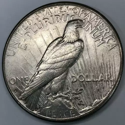 Peace Silver Dollar