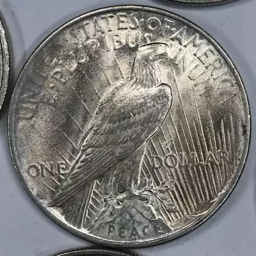 Peace Silver Dollar