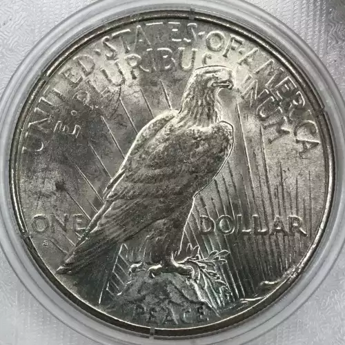 Peace Silver Dollar (4)