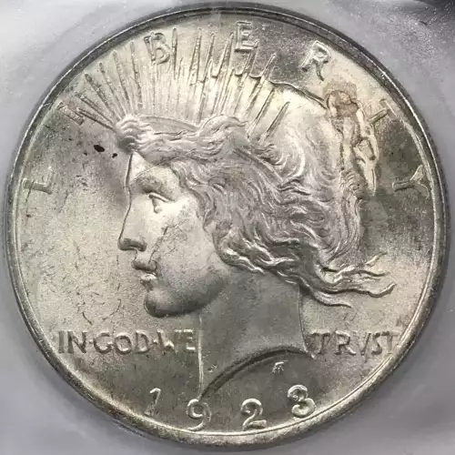 Peace Silver Dollar (2)