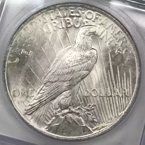 Peace Silver Dollar (3)