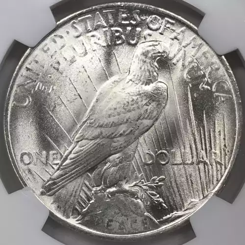 Peace Silver Dollar