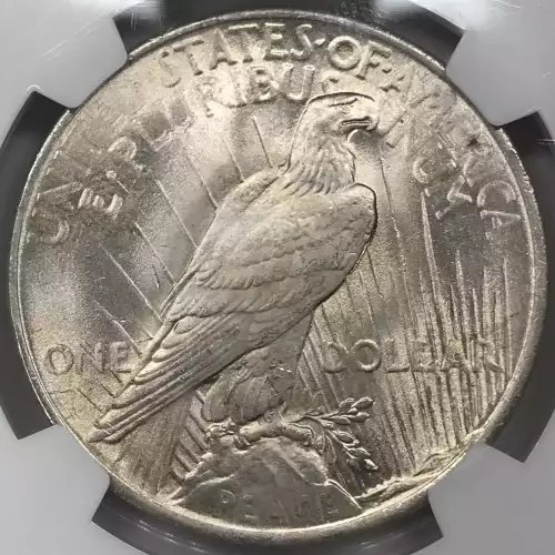 Peace Silver Dollar