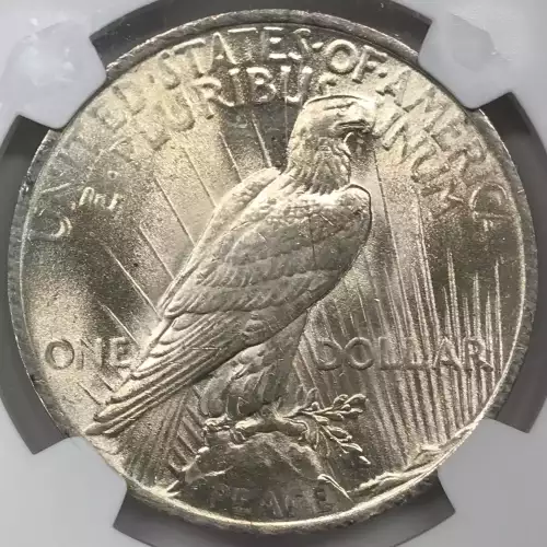 Peace Silver Dollar