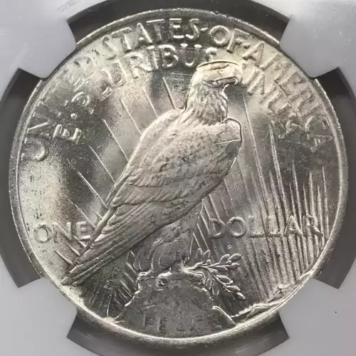 Peace Silver Dollar