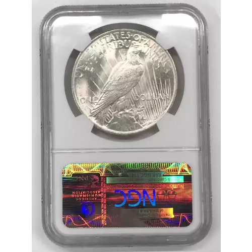 Peace Silver Dollar