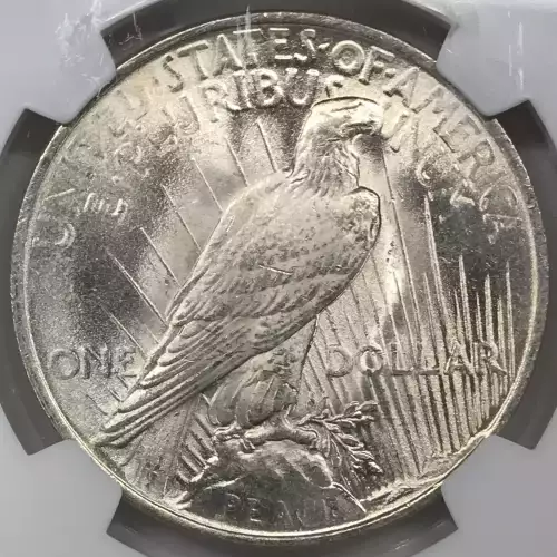 Peace Silver Dollar