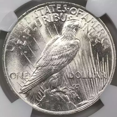 Peace Silver Dollar