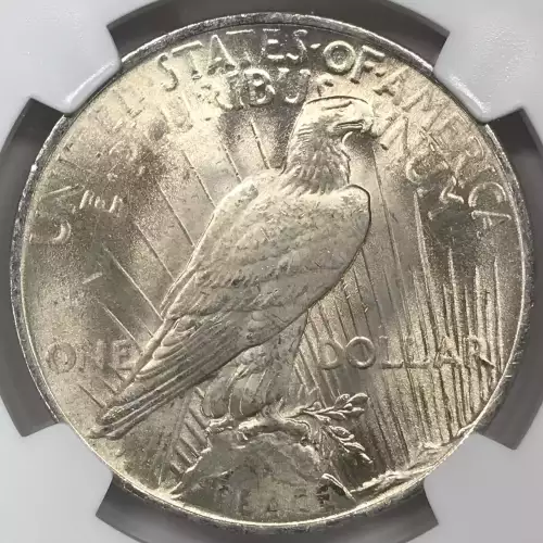 Peace Silver Dollar