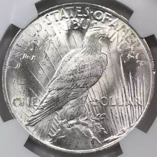 Peace Silver Dollar