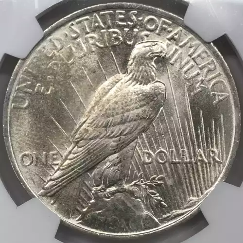 Peace Silver Dollar