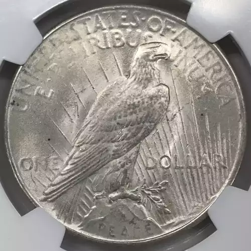 Peace Silver Dollar