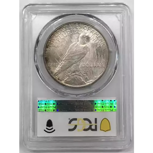 Peace Silver Dollar