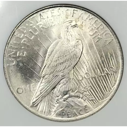 Peace Silver Dollar (4)