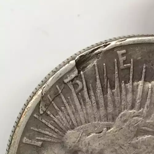 Peace Silver Dollar (2)
