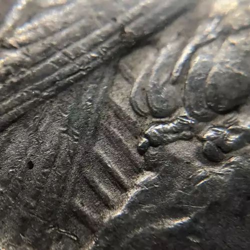 Peace Silver Dollar (5)