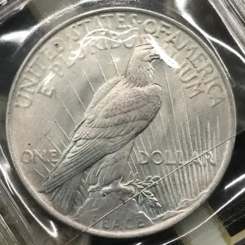 Peace Silver Dollar (3)